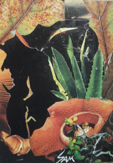 Collagen mit dem Titel "QUAND LES ÉPINÉS CÔ…" von Sam De Beauregard, Original-Kunstwerk, Collagen Auf Karton montiert