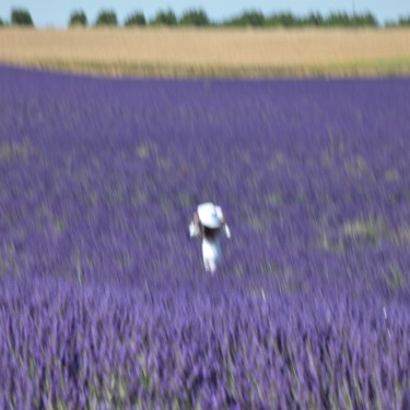 Fotografía titulada "dans un champ de la…" por Bernard Levy, Obra de arte original, Fotografía digital