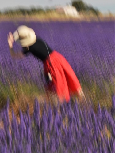 Fotografía titulada "dans un champ de la…" por Bernard Levy, Obra de arte original, Fotografía digital