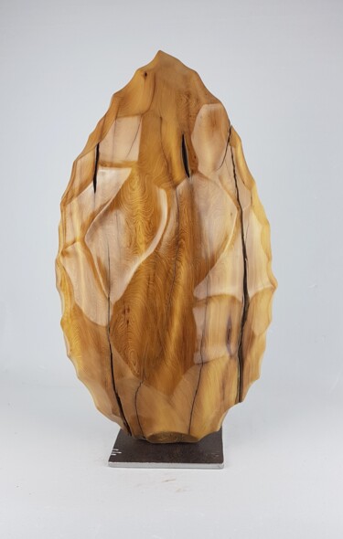 雕塑 标题为“Biface” 由Bernard Geoffroy, 原创艺术品, 木