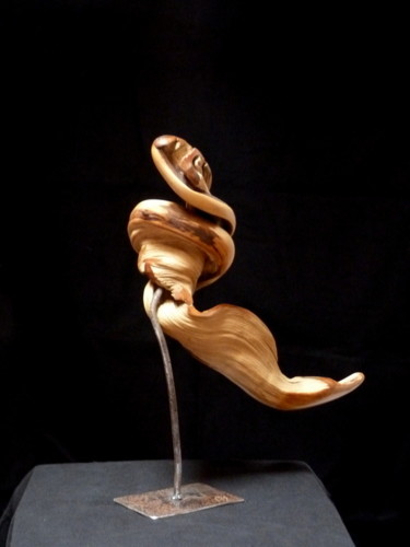 Sculpture intitulée "Virgule" par Bernard Geoffroy, Œuvre d'art originale, Bois