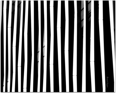 Fotografia intitolato "zebre urbain.(colle…" da Bernard Vergier, Opera d'arte originale