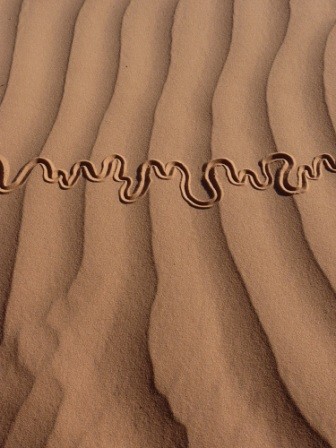 Aufbau mit dem Titel "serpent des sables…" von Alain Bernegger, Original-Kunstwerk