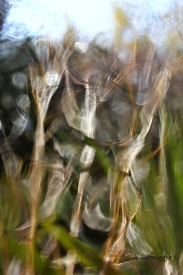 Fotografie getiteld "Jardin floue" door Alain Bernegger, Origineel Kunstwerk