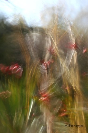 Installatie getiteld "Jardin floue" door Alain Bernegger, Origineel Kunstwerk