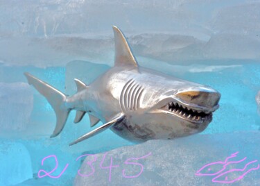 Collages intitolato "Shark…2345" da Bernie Spielmann, Opera d'arte originale, Collages
