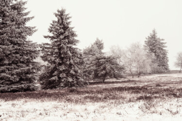 摄影 标题为“Winter Landscape Ph…” 由Bilge Paksoylu, 原创艺术品, 数码摄影