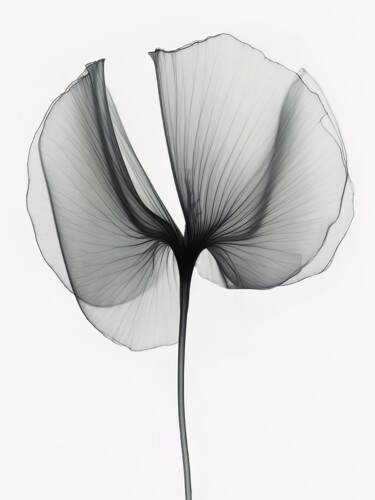 Arts numériques intitulée "Transparent X Ray F…" par Bilge Paksoylu, Œuvre d'art originale, Image générée par l'IA