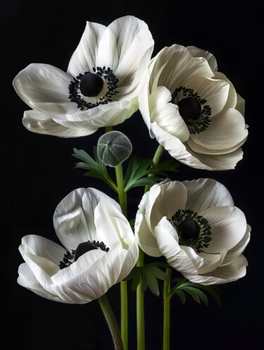 Arts numériques intitulée "White Flowers 1" par Bilge Paksoylu, Œuvre d'art originale, Image générée par l'IA