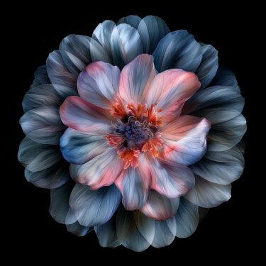 Digital Arts titled "Single Flower on Bl…" by Bilge Paksoylu, Original Artwork, AI generated image