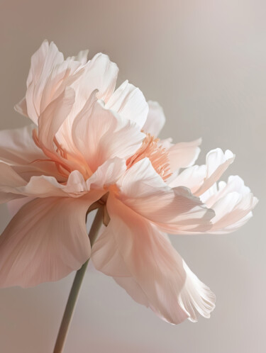 Digitale Kunst mit dem Titel "Soft Petals Floral…" von Bilge Paksoylu, Original-Kunstwerk, KI-generiertes Bild