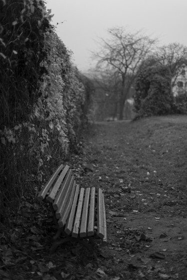 Фотография под названием "Lonely bench in the…" - Andrii Bilonozhko, Подлинное произведение искусства, Не манипулируемая фот…