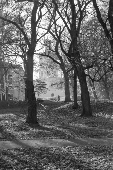 Фотография под названием "At the two o'clock…" - Andrii Bilonozhko, Подлинное произведение искусства, Цифровая фотография