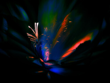 Estampas & grabados titulada "Glowing Flower" por Lewis Freitag, Obra de arte original, Impresión digital Montado en Bastido…
