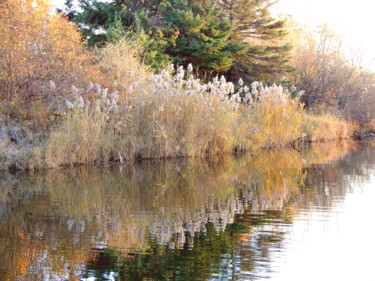 "At the pond" başlıklı Fotoğraf Blago Simeonov tarafından, Orijinal sanat, Dijital Fotoğrafçılık