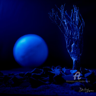 Photography titled "Rhapsodie in blue" by Blandine Legros, Original Artwork, Non Manipulated Photography Mounted on Aluminium