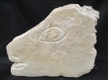 제목이 "Cheval sauvage"인 조형물 Roberto Urbano로, 원작, 돌
