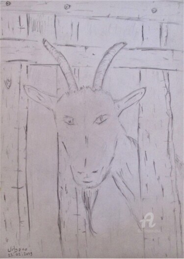 Dessin intitulée "Chèvres de Vanessa" par Roberto Urbano, Œuvre d'art originale, Crayon