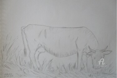 Drawing titled "La vache de Nadine" by Roberto Urbano, Original Artwork, Pencil