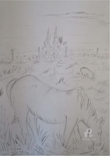 Tekening getiteld "Le Cheval de Guy" door Roberto Urbano, Origineel Kunstwerk, Potlood