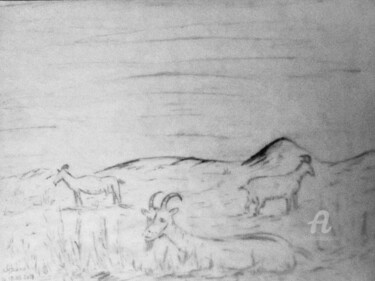 Disegno intitolato "Chèvres en Ardèche" da Roberto Urbano, Opera d'arte originale, Matita