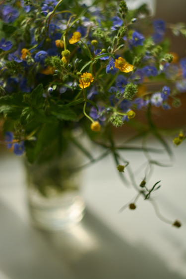 摄影 标题为“Wildflowers in a gl…” 由Ekaterina Bokova, 原创艺术品, 数码摄影