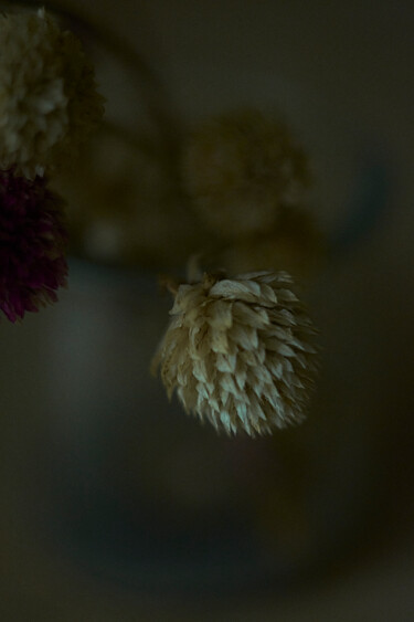 Photography titled "November bouquet" by Ekaterina Bokova, Original Artwork, Digital Photography