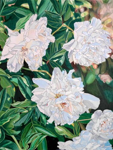 图画 标题为“White peonies” 由Sandrine Borgniet, 原创艺术品, 铅笔