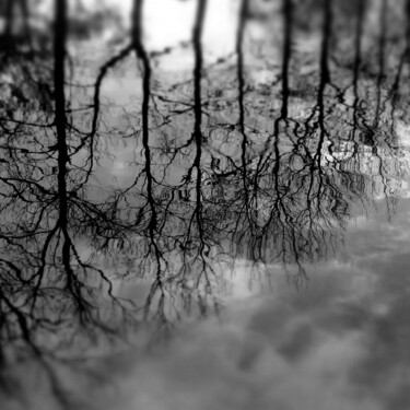 "Reflets dans le lac" başlıklı Fotoğraf Boris Barbey tarafından, Orijinal sanat, Dijital Fotoğrafçılık