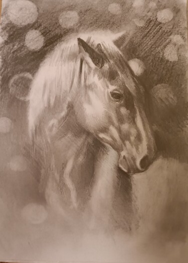 Desenho intitulada "horse" por Borys Gierlinski, Obras de arte originais, Lápis