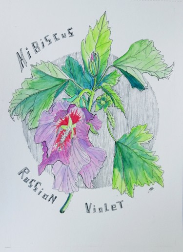 Рисунок под названием "Hibiscus" - Brigitte Mathé (MBL), Подлинное произведение искусства, Акварель