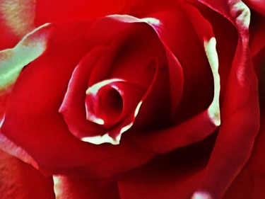 Fotografie getiteld "Coeur de rose rouge…" door Brigitte Mathé (MBL), Origineel Kunstwerk