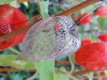 "Transparence automn…" başlıklı Fotoğraf Brigitte Mathé (MBL) tarafından, Orijinal sanat