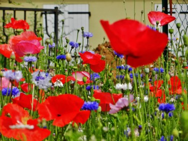 Fotografía titulada "Fleurs des champs" por Brigitte Mathé (MBL), Obra de arte original