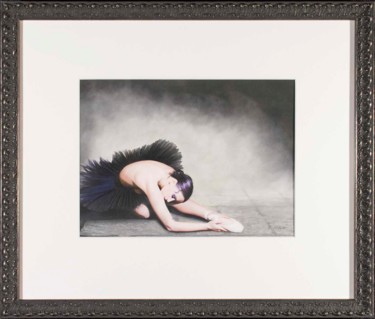 Tekening getiteld "Black Swan" door Brita Seifert, Origineel Kunstwerk, Pastel