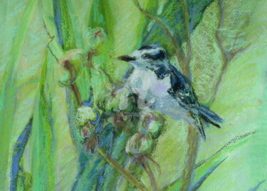 Painting titled "Downy on the yucca" by B.Rossitto, Original Artwork, Pastel