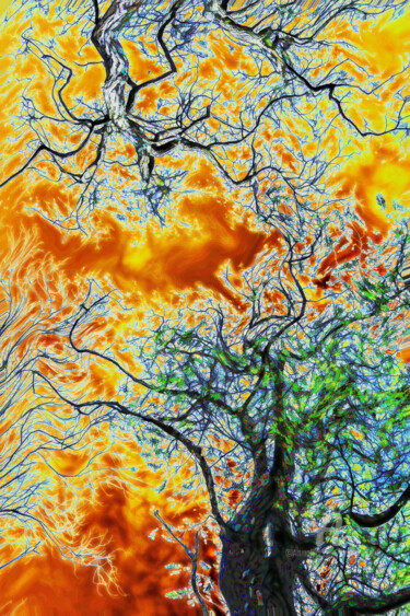 Photographie intitulée "arbre abstrait" par Bruno Bisanti, Œuvre d'art originale, Photographie numérique