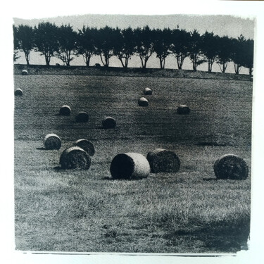 Fotografia intitulada "Paysage ► Les Foins" por Bruno Lhonneur, Obras de arte originais, Fotografia Não Manipulada