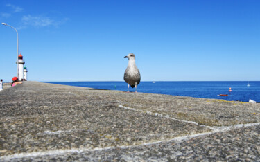 Photographie intitulée "Sur un mur" par Camille R., Œuvre d'art originale, Photographie numérique