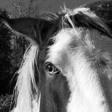 Photographie intitulée "Dans l'oeil clair d…" par Camille R., Œuvre d'art originale, Photographie non manipulée