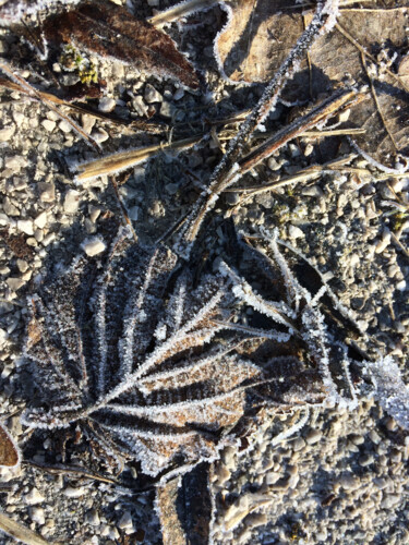 Fotografía titulada "L'oeuvre de l'hiver" por Camille R., Obra de arte original, Fotografía no manipulada