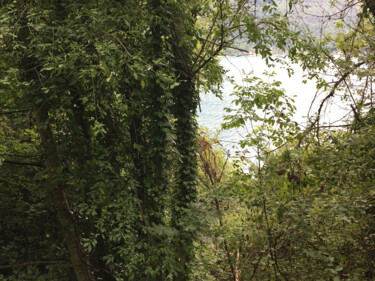 Photographie intitulée "Le lac à travers" par Camille R., Œuvre d'art originale, Photographie non manipulée