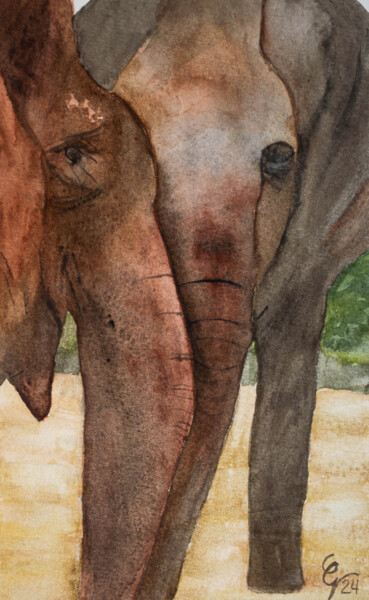 Malarstwo zatytułowany „Elephant Crossing” autorstwa Candace Grey, Oryginalna praca, Akwarela