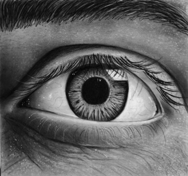 Dibujo titulada "Göz" por Cansu Kam, Obra de arte original, Carbón