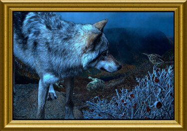 Photography titled "The wolf and bird" by Carl Legault, Original Artwork, Digital Photography Mounted on Wood Stretcher frame