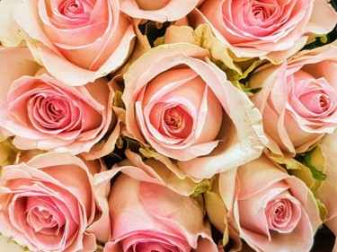 Photographie intitulée "Roses roses 2 -  2/…" par Carlos Vieira, Œuvre d'art originale, Photographie non manipulée