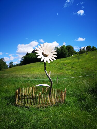 Fotografía titulada "Special flower" por Carola Mantzsch (Carma), Obra de arte original, Fotografía no manipulada