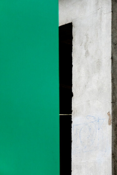 「Figure Verte et Gri…」というタイトルの写真撮影 Caroline Constantによって, オリジナルのアートワーク, デジタル アルミニウムにマウント
