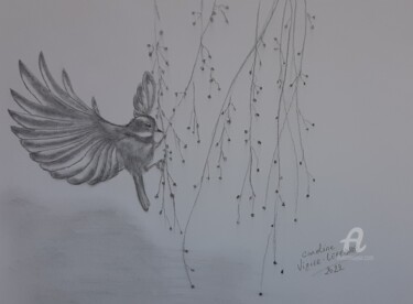 Drawing titled "Envol" by Caroline Lefebvre, Original Artwork, Graphite