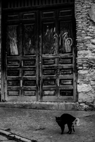 Fotografia zatytułowany „Le Gardien” autorstwa Cassandre Murail, Oryginalna praca, Fotografia cyfrowa